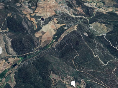 Akçapınarda Bölge Fiyatının Altında 2 584 M2 Acil Satılık Tarla Osmaneli Akçapınar Mah-Akçapınar Köyü