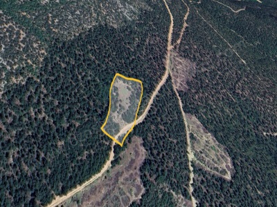 7650 M2 Kelepir Arazi Satılık Tarla Bilecik Osmaneli Çiftlik Köyü