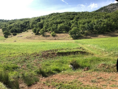 2460 M2 Kelepir Satılık Tarla Bilecik Osmaneli Oğulpaşa Mah-Oğulpaşa Köyü