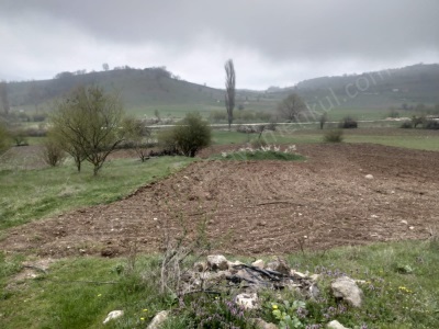 Köye 500 Metre Mesafede Fırsat Arazi Satılık Tarla Osmaneli Boyunkaya Köyü