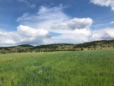 5 185 M2 Bağ Evi Yapmaya Uygun Köye Yakın Satılık Arazi Osmaneli Oğulpaşa Mah-Oğulpaşa Köyü