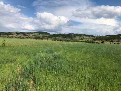 Land Kaufen In  Türkei, Bilecik, Osmaneli, Ogulpasa Str.-Ogulpasa Koyu. , 5185 m2