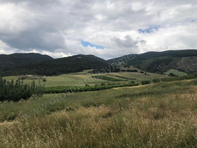 1 5 Dönüm Villa Yapmaya Uygun Muhteşem Satılık Arsa Osmaneli Çiftlik Köyü