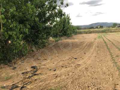 Field For Sale in  Turkey, Bilecik, Osmaneli, Buyukyenice Koyu , 600 m2