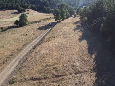 7 5 Dönüm Kullanım Alanlı Kelepir Arazi Osmanlı Gyrmnklden Satılık Tarla Merkez Abadiye Köyü