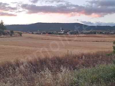 Ackerland Kaufen In  Türkei, Bilecik, Osmaneli, Buyukyenice Koyu , 1076 m2