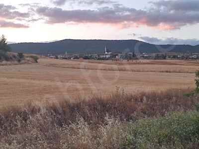 Field For Sale in  Turkey, Bilecik, Osmaneli, Buyukyenice Koyu , 1076 m2