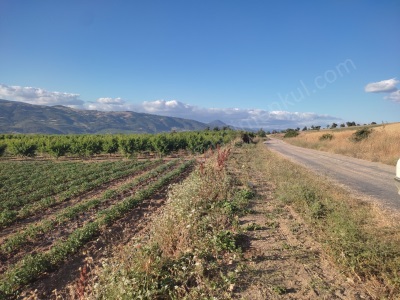 3 386 M2 Manzaralı Asfalt Kenarı Satılık Tarla Osmaneli Akçapınar Mah-Akçapınar Köyü