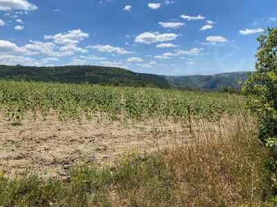 Field For Sale in  Turkey, Bilecik, Osmaneli, Balcikhisar Koyu , 3328 m2