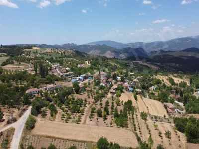 Ackerland Kaufen In  Türkei, Bilecik, Osmaneli, Balcikhisar Koyu , 393 m2