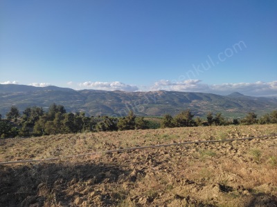 Asfalta Yakın Manzaralı Satılık Tarla Osmaneli Akçapınar Mah-Akçapınar Köyü