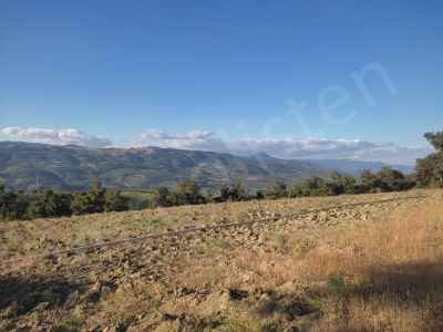 Ackerland Kaufen In  Türkei, Bilecik, Osmaneli, Akcapinar Str.-Akcapinar Koyu. , 3386 m2