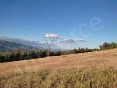 Field For Sale in  Turkey, Bilecik, Osmaneli, Bereket Koyu , 22753 m2