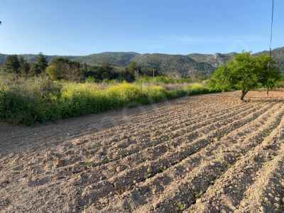 Ackerland Kaufen In  Türkei, Bilecik, Osmaneli, Camicedit Str. , 1225 m2