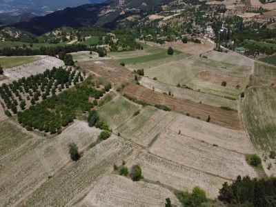 Field For Sale in  Turkey, Bilecik, Osmaneli, Balcikhisar Koyu , 3718 m2