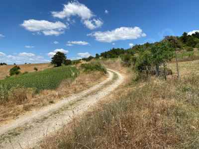 Ackerland Kaufen In  Türkei, Bilecik, Yenipazar, Esenkoy Str.-Esenkoy Koyu. , 1120 m2