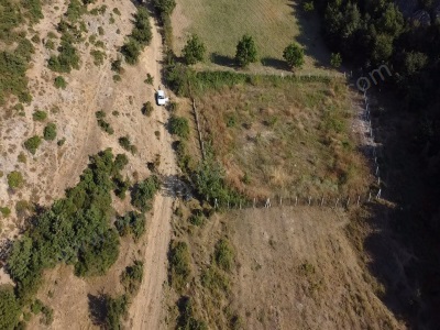 Köye Yakın Etrafı Çevreli 1 275 M2 Fırsat Meyve Bahçesi Satılık Tarla Osmaneli Balçıkhisar Köyü