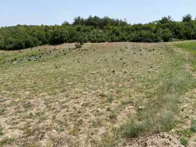 Ackerland Kaufen In  Türkei, Bilecik, Osmaneli, Balcikhisar Koyu , 3588 m2