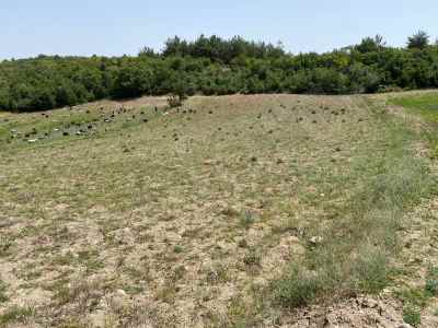 Field For Sale in  Turkey, Bilecik, Osmaneli, Balcikhisar Koyu , 3588 m2