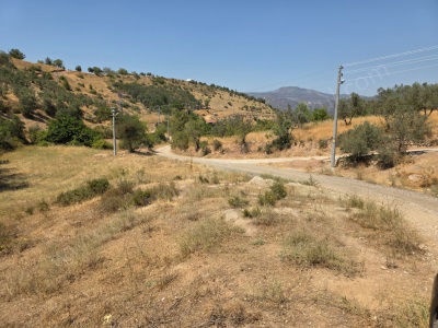 İmara 500 Metre Osmaneli Merkezde 3 786 M2 Yatırımlık Bahçe Satılık Bağ Camikebir Mah