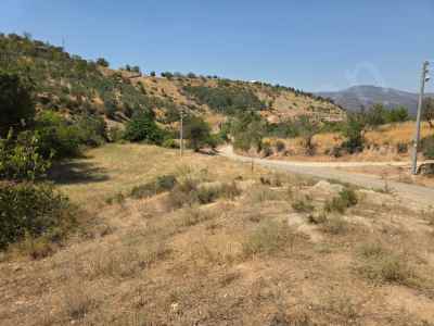  Kaufen In  Türkei, Bilecik, Osmaneli, Camikebir Str. , 3786 m2