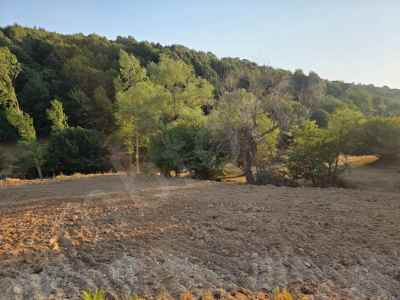 Field For Sale in  Turkey, Bilecik, Sogut, Hayriye Koyu , 13151 m2