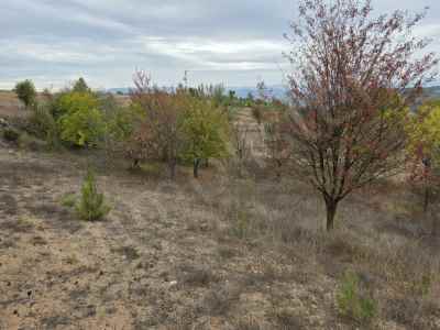 Ackerland Kaufen In  Türkei, Bilecik, Osmaneli, Balcikhisar Koyu , 1533 m2