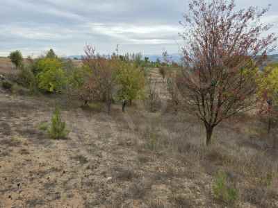 Field For Sale in  Turkey, Bilecik, Osmaneli, Balcikhisar Koyu , 1533 m2