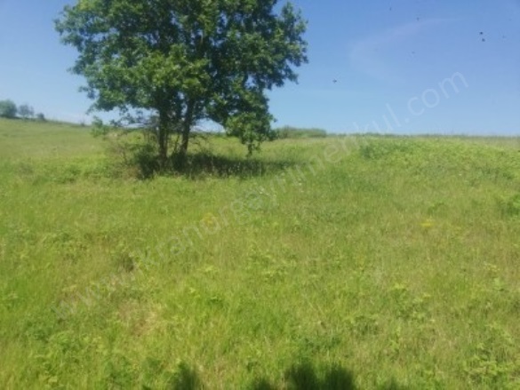 Selametli Mah. Kandıra Satılık Tarla |  8876M2 4.750.000Tl Resim-5