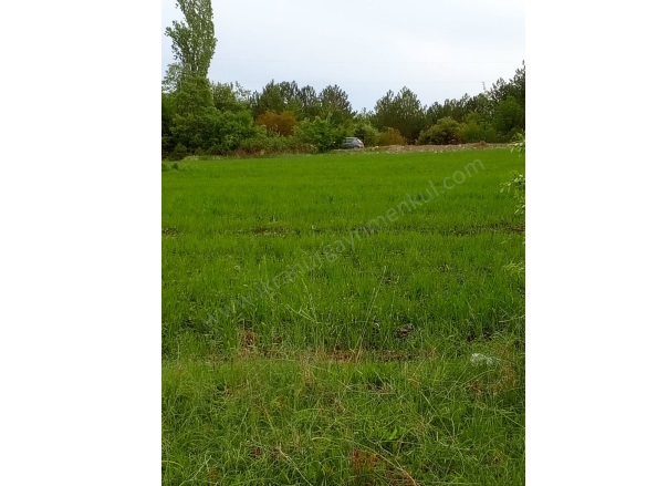 Kırık Köyü Domaniç Satılık Tarla |  14720M2 2.250.000Tl İmarlı  Resim-3