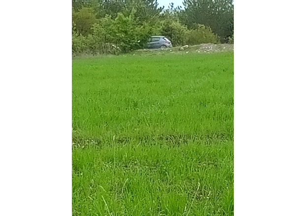 Kırık Köyü Domaniç Satılık Tarla |  14720M2 2.250.000Tl İmarlı  Resim-4