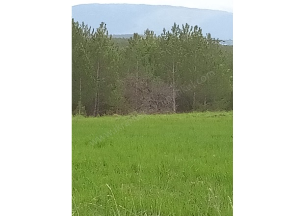 Kırık Köyü Domaniç Satılık Tarla |  14720M2 2.250.000Tl İmarlı  Resim-5