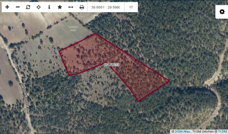 Kırık Köyü Domaniç Satılık Tarla |  20937M2 855.000Tl Resim-5