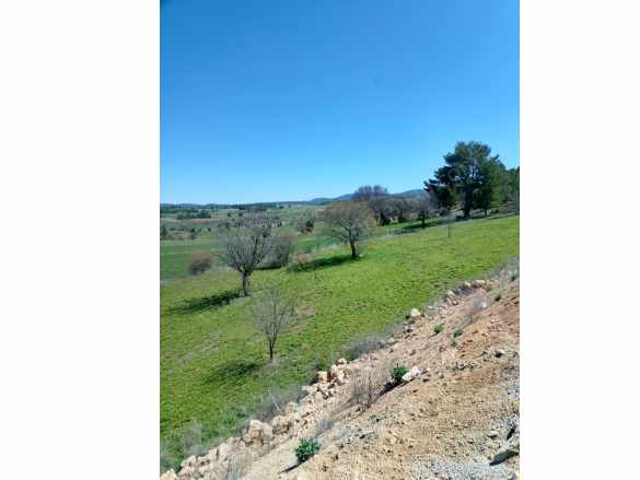 Asfalt Dahil 3 Köşe Envai Meyve Ağaçları Mevcut Satılık Arsa Emet Gürpınar Köyü