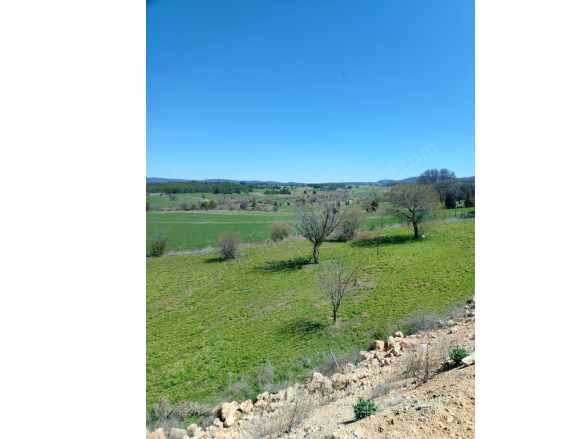 Asfalt Dahil 3 Köşe Envai Meyve Ağaçları Mevcut Satılık Arsa Emet Gürpınar Köyü