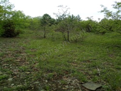 Domaniç Kırık Köyü Satılık Tarla 20937 M2