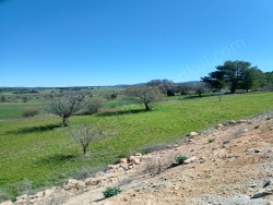 Emet Gürpınar Köyü Satılık Arsa 3067 M2