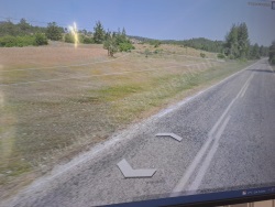 Tavşanlı Doğanlar Köyü Satılık Arazi 3617 M2