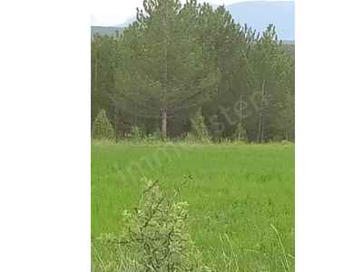 Ackerland Kaufen In  Türkei, Kutahya, Domanic, Kirik Koyu , 14720 m2