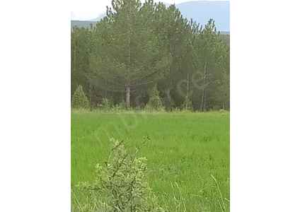 Field For Sale in  Turkey, Kutahya, Domanic, Kirik Koyu , 14720 m2