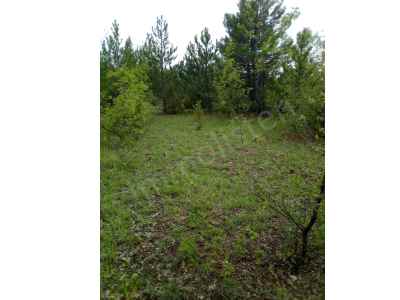 Ackerland Kaufen In  Türkei, Kutahya, Domanic, Kirik Koyu , 20937 m2