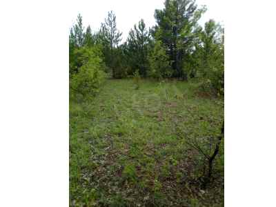 Field For Sale in  Turkey, Kutahya, Domanic, Kirik Koyu , 20937 m2