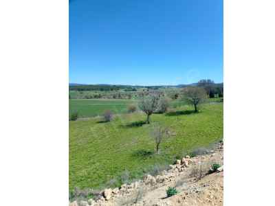 Land For Sale in  Turkey, Kutahya, Emet, Gurpinar Koyu , 3067 m2