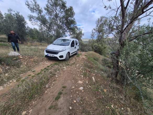 Yolören Mah. Edremit Satılık Zeytinlik |  1453M2 3.750.000Tl Resim-5