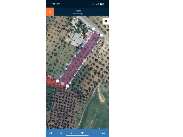 Karaağaç Mah. Gömeç Satılık Zeytinlik |  5331M2 21.000.000Tl Resim-5