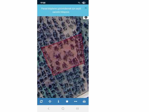 Havran Küçükdere Anayola Yakın 2500 M2 Pazarlıklı Satılık Zeytinlik Mah