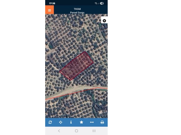 Mescit Mah. Havran Satılık Zeytinlik |  1500M2 3.000.000Tl Resim-1