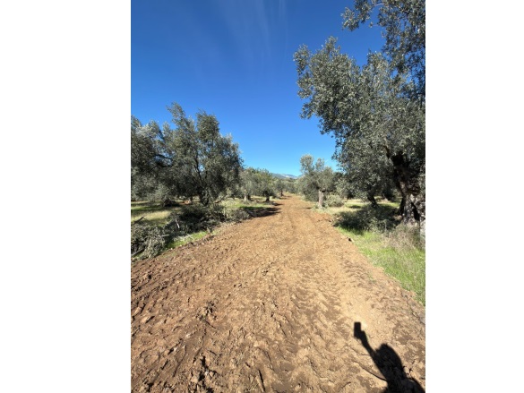 Kızılkeçili Mah. Edremit Satılık Bahçe |  304M2 990.000Tl Resim-1