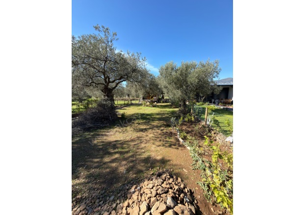 Kızılkeçili Mah. Edremit Satılık Bahçe |  304M2 990.000Tl Resim-5