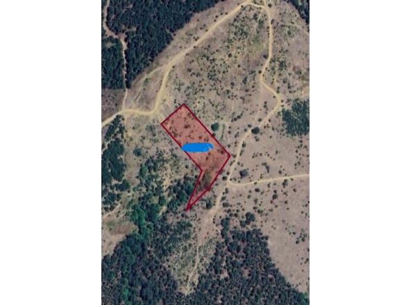 Tarlabaşı Mah. Havran Satılık Tarla |  8590M2 2.500.000Tl Resim-1